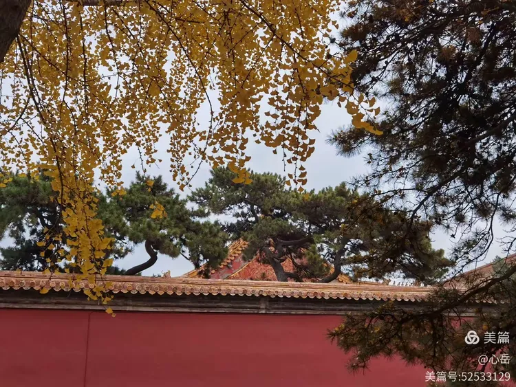 诗词：故宫六百年